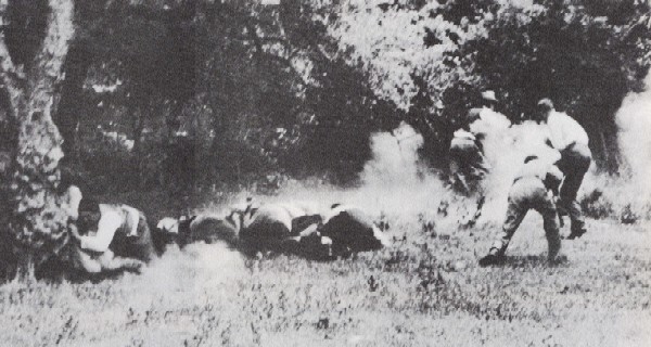 Μάχη Κρήτης Χανιά