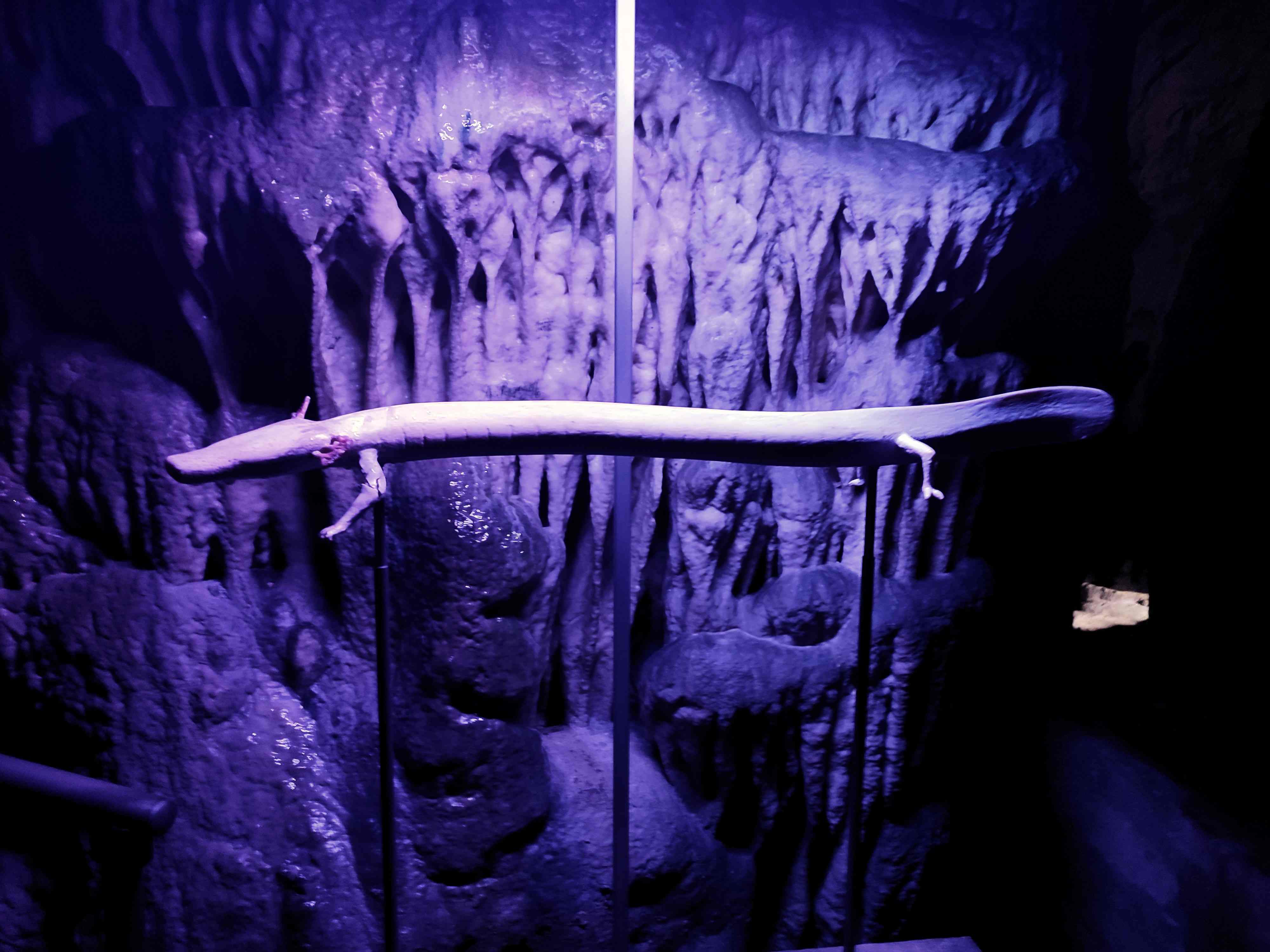 πρωτομαγιά 2020