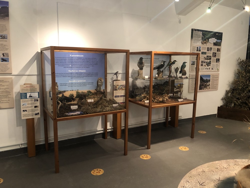 Ριζική ανακαίνιση στο Μουσείο Φυσικής Ιστορίας Γέργερης