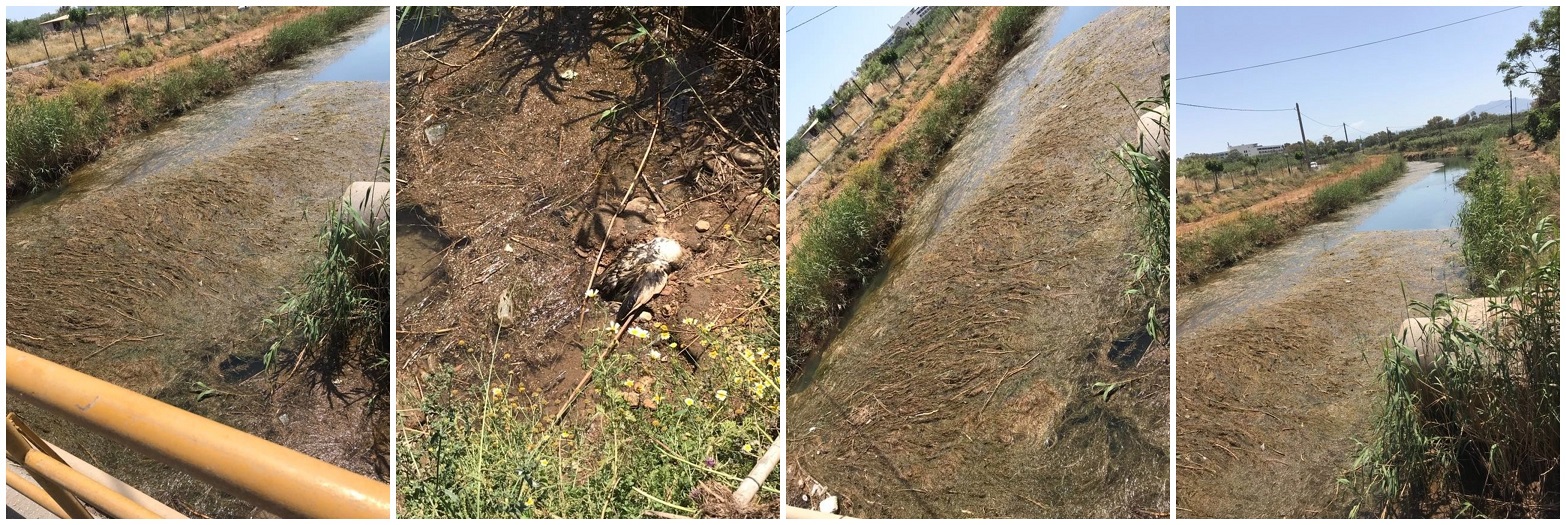 υδροβιότοπος