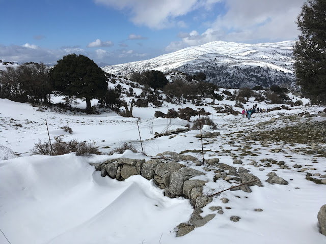 ορειβατικός