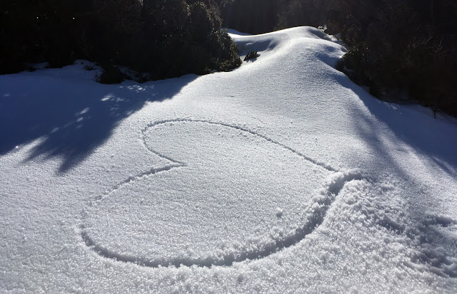 ορειβατικος