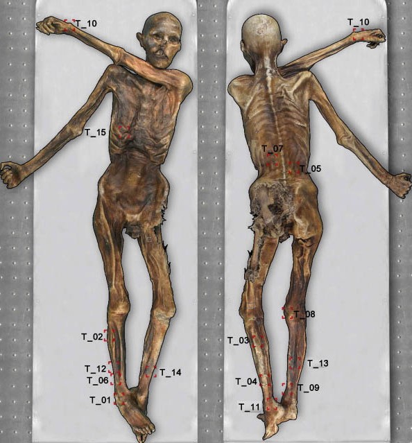 otzi
