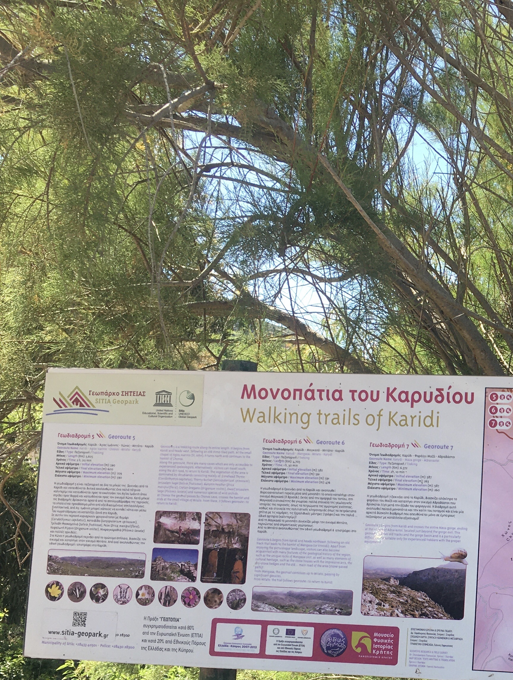 Από την εξόρμηση του ΕΟΣ Λασιθίου στο Γεωπάρκο Σητείας