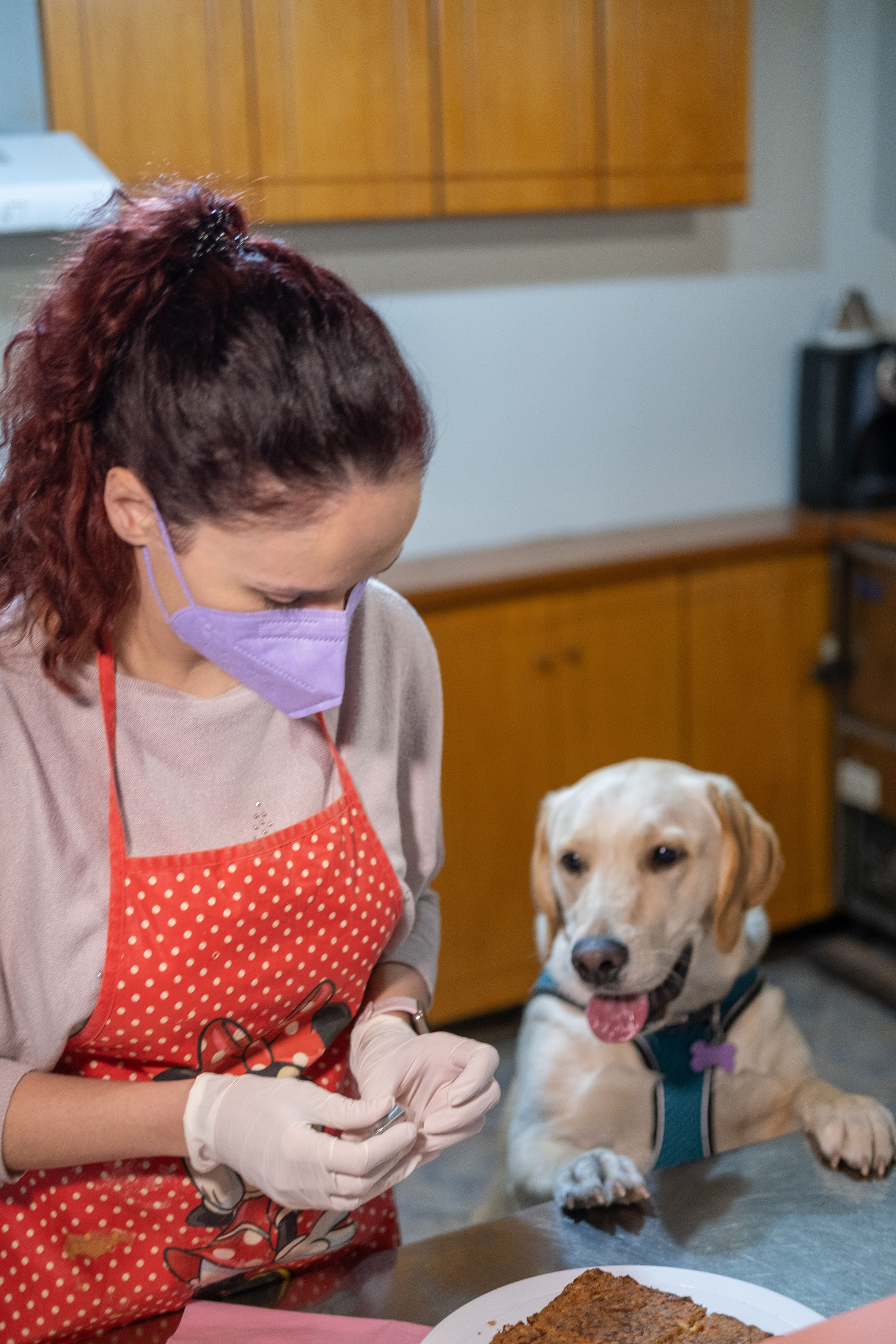 Η Ιωάννα Φαρμάκη μαζί με μια σκυλίτσα