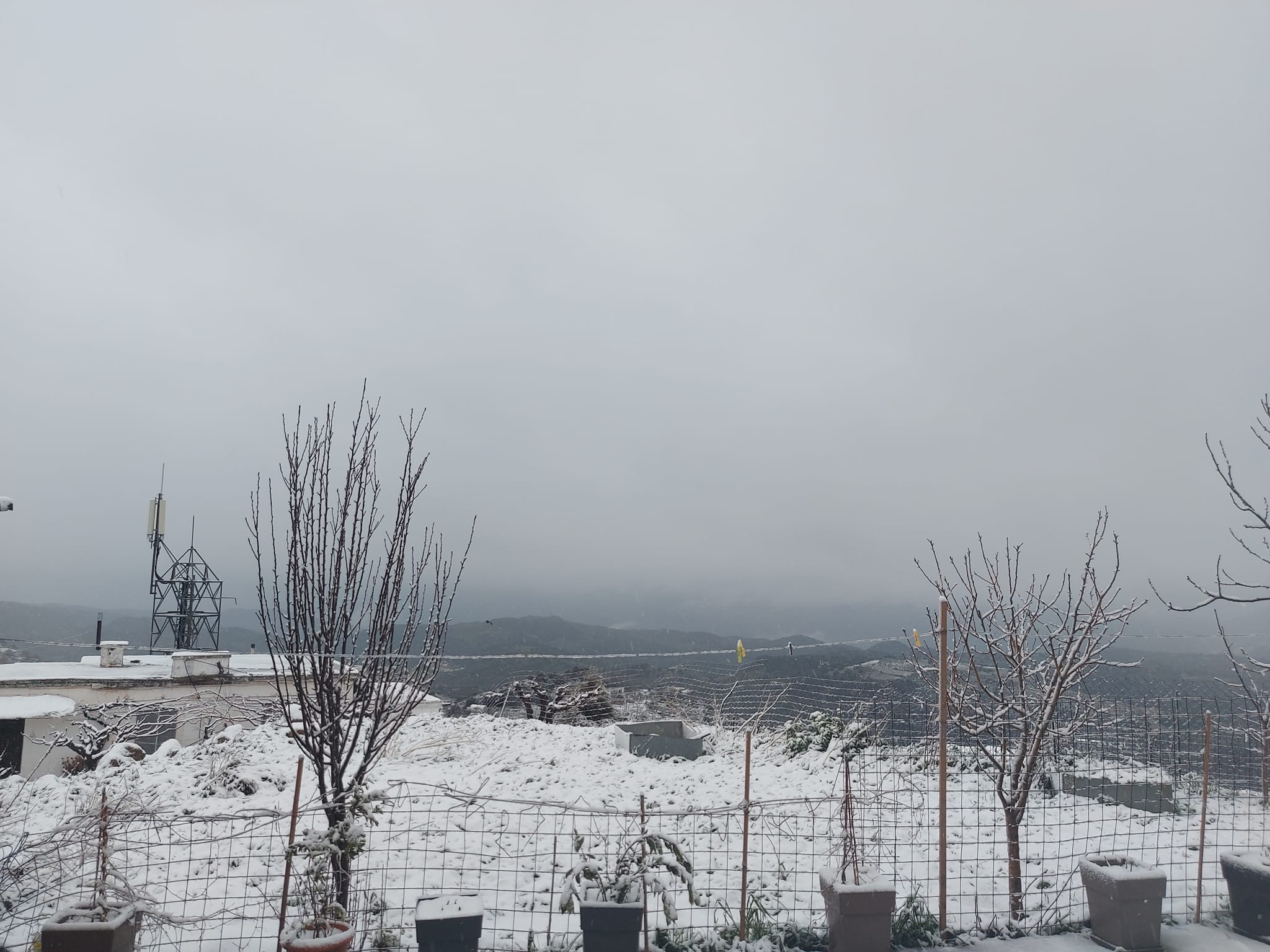 φωτογραφία Κωσταντινα Σταυρακακη-Δακαναλη via ΜΕΤΕΩΚΡΗΤΕΣ