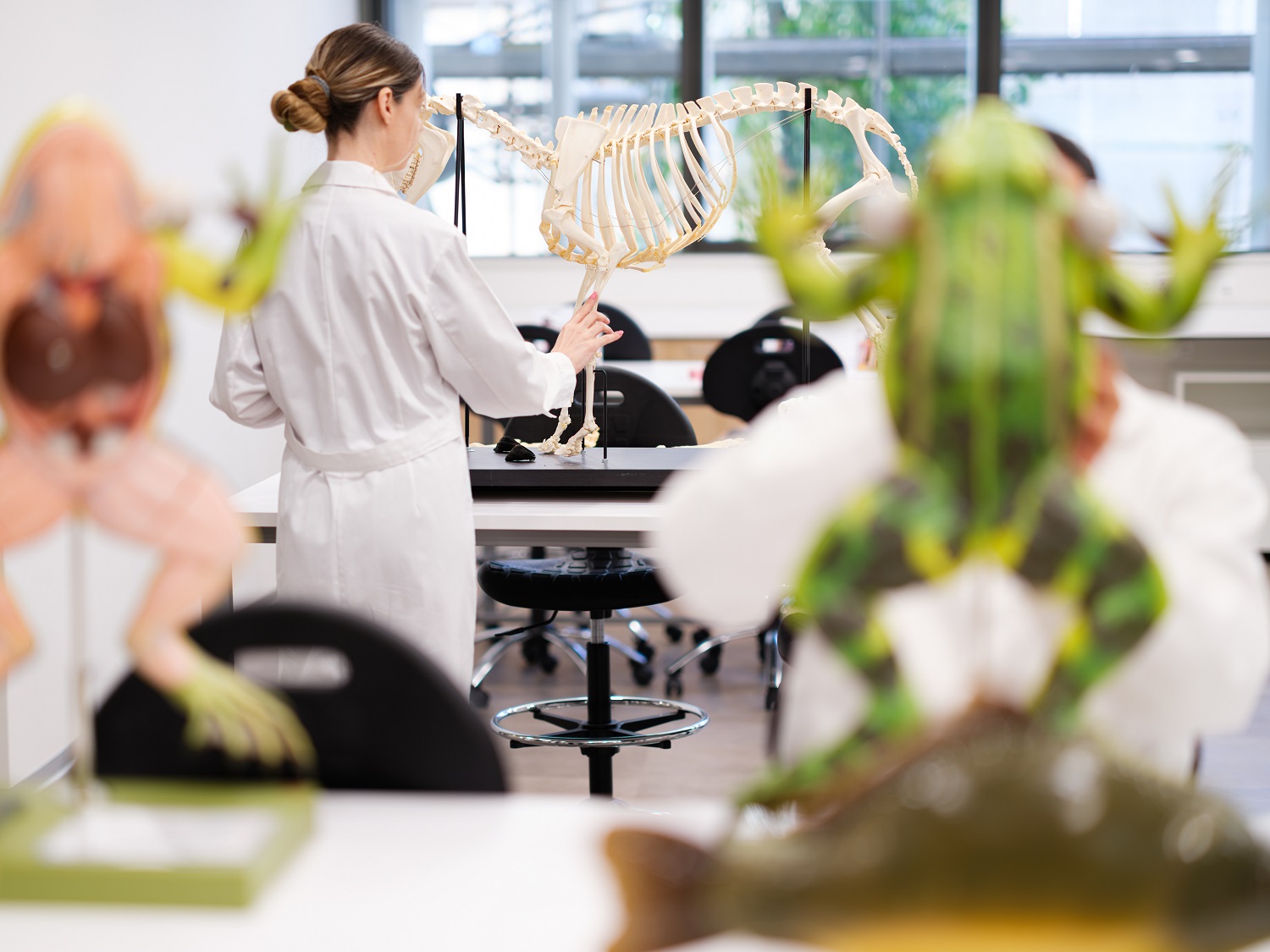 ευρωπαϊκό πανεπιστήμιο κύπρου σχολή κτηνιατρικής