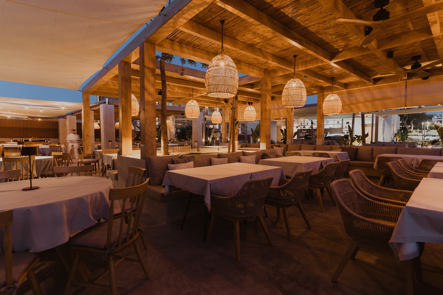 Cicada Seascape Experience