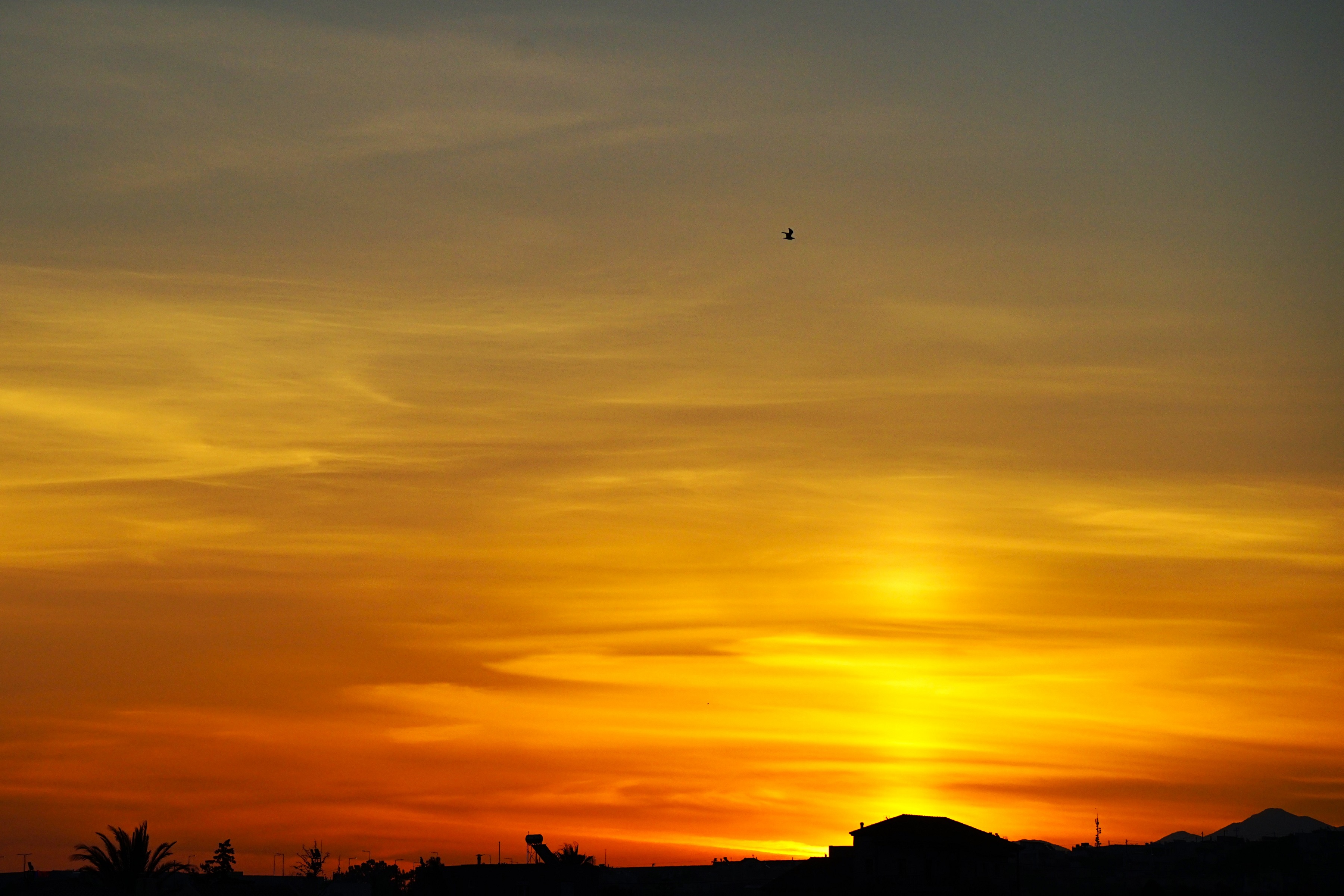 πρωινό αυγή ανατολή τζιγκουνάκης Ηράκλειο