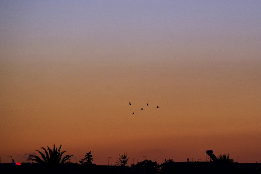 Σωτήρης Τζιγκουνάκης Αυγή Ξημέρωμα