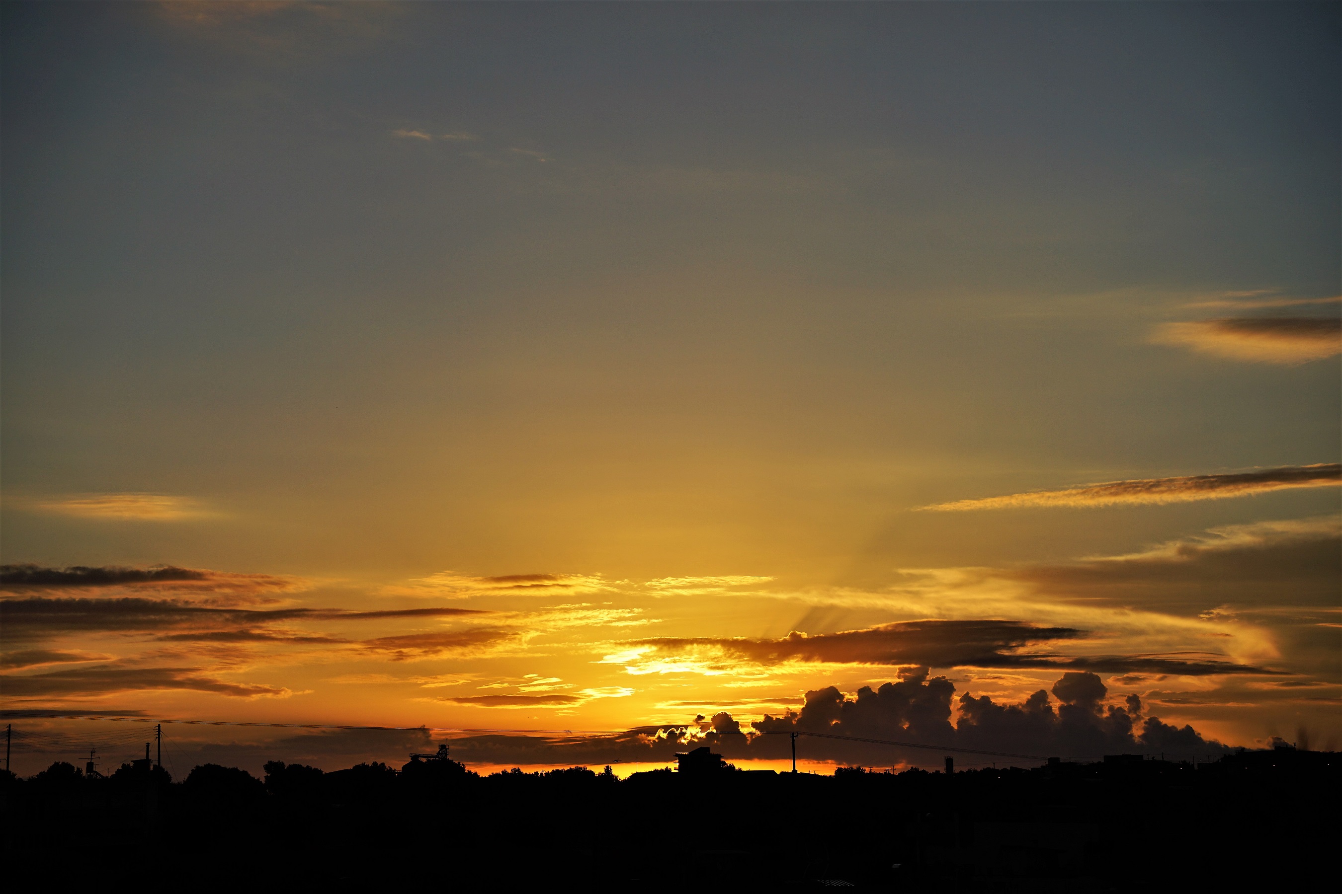 Σωτήρης Τζιγκουνάκης