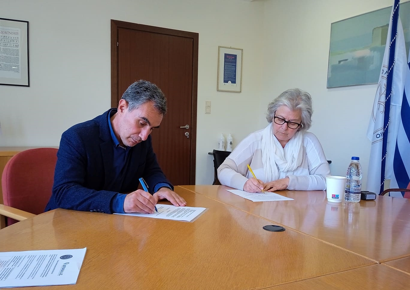 ΕΛΜΕΠΑ-ΔΕΠΑΝΑΛ