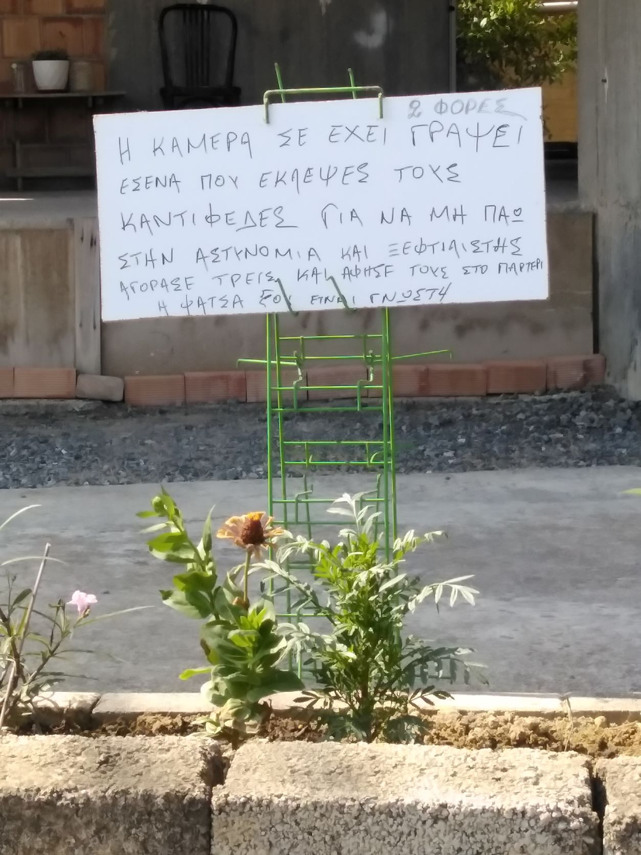 αυλή