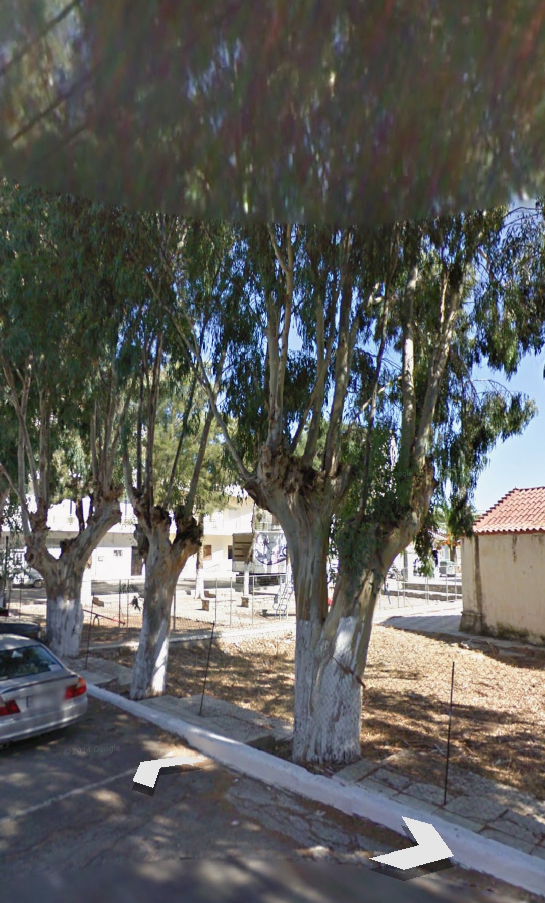 τυμπακι δέντρα