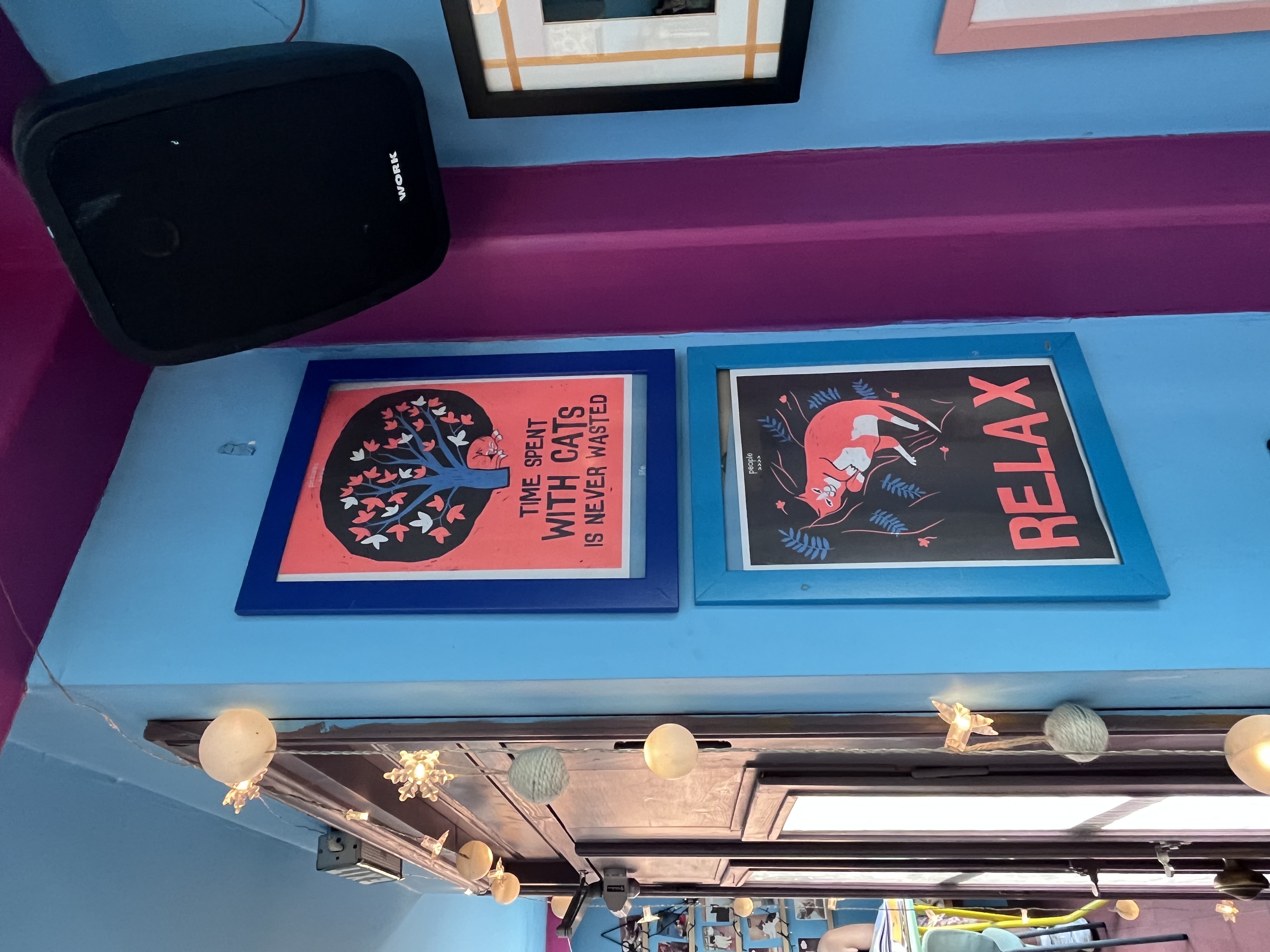 Γατόφιλο Καφέ Θεσσαλονίκη Γάτες Καφετέρια