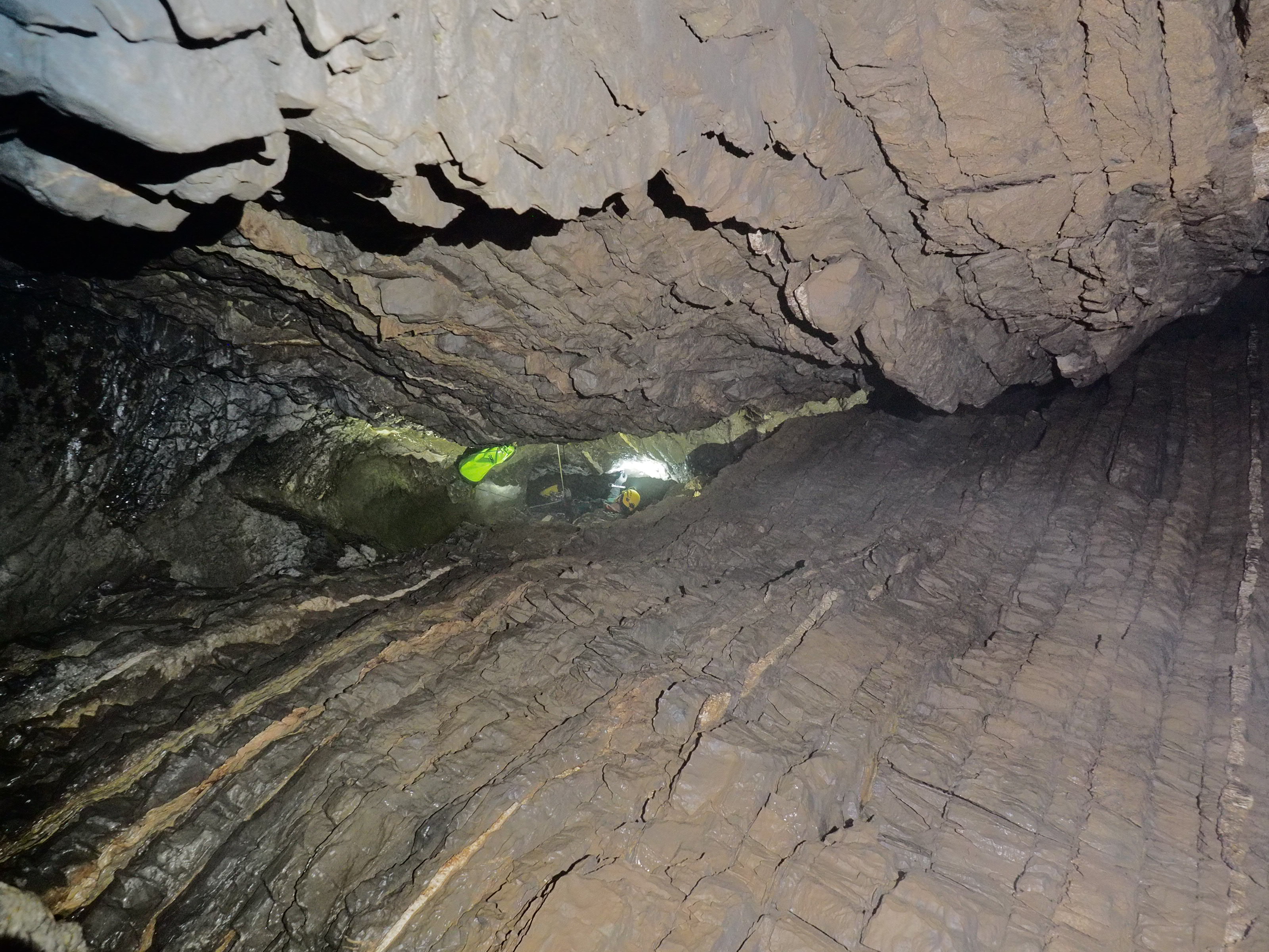 Γουργούθακας