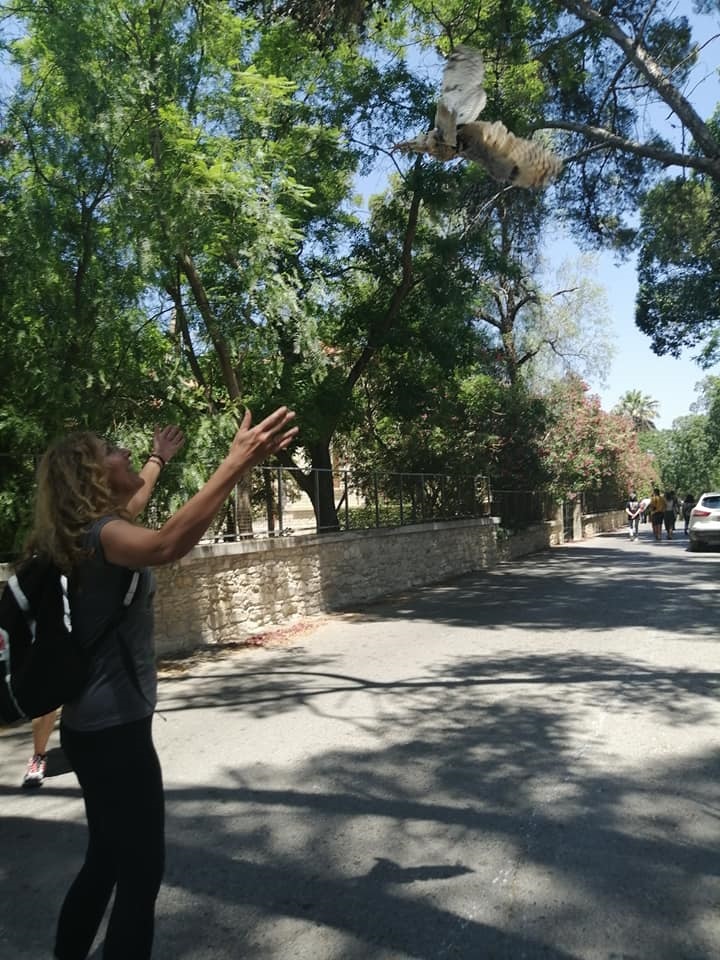 Εκπαίδευση Αειφορία