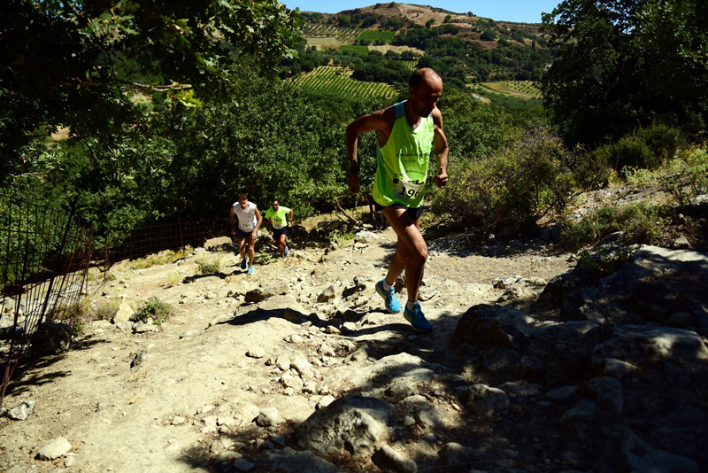 Αυξέντιοι αγώνες
