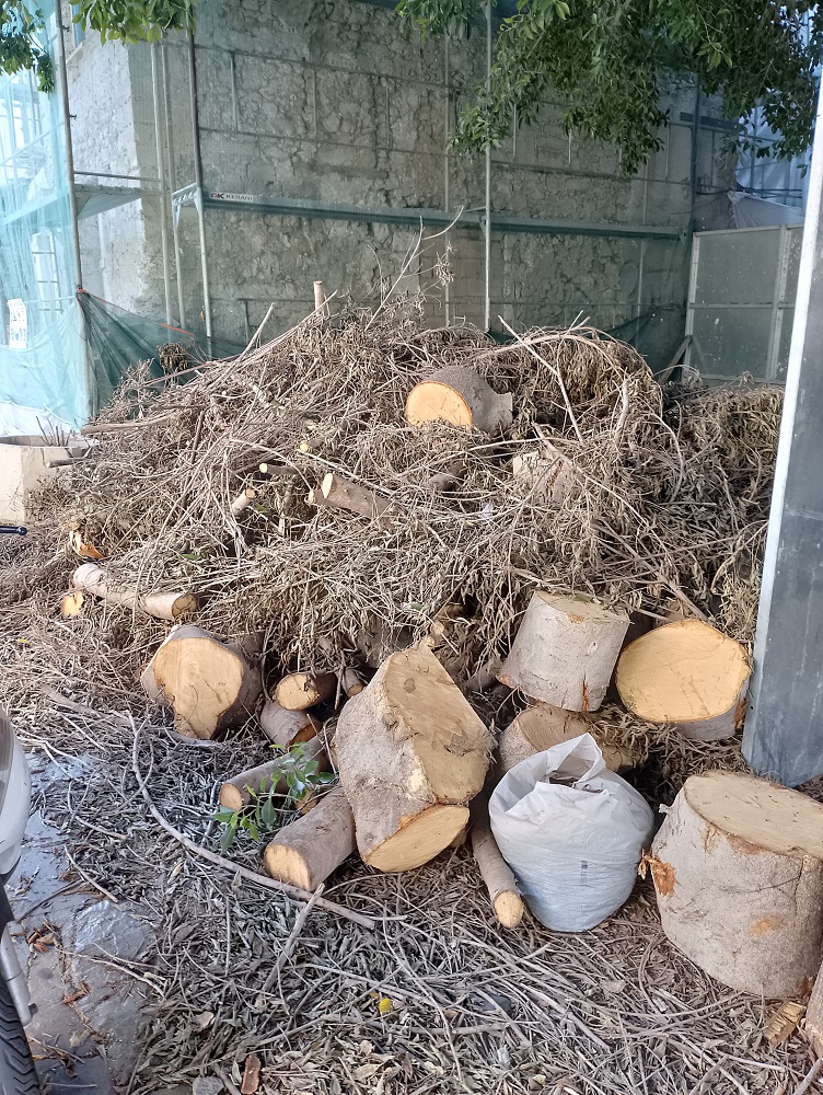 Άγιος Μηνάς ξερόκλδα