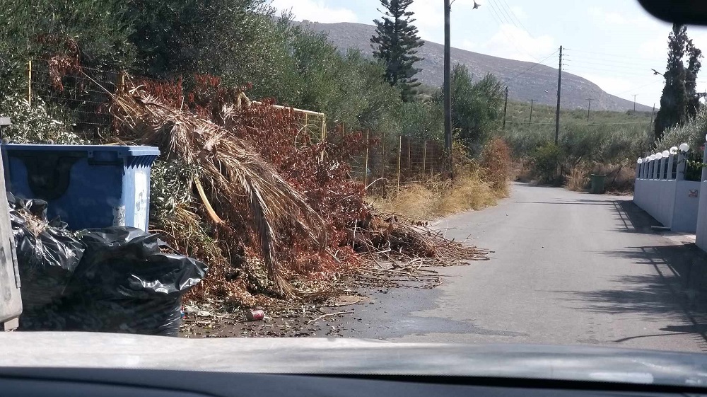 Οδός Αγίου Αλεξάνδρου διαρροή νερού κλαδιά