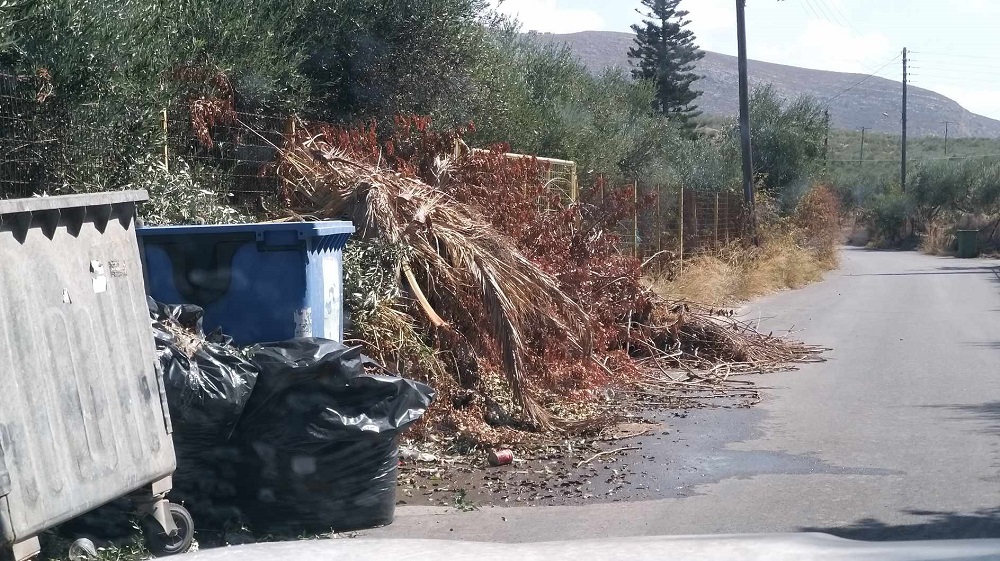 Οδός Αγίου Αλεξάνδρου διαρροή νερού κλαδιά