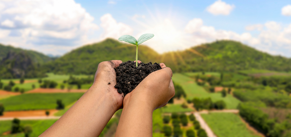 Αλατότητα εδάφους