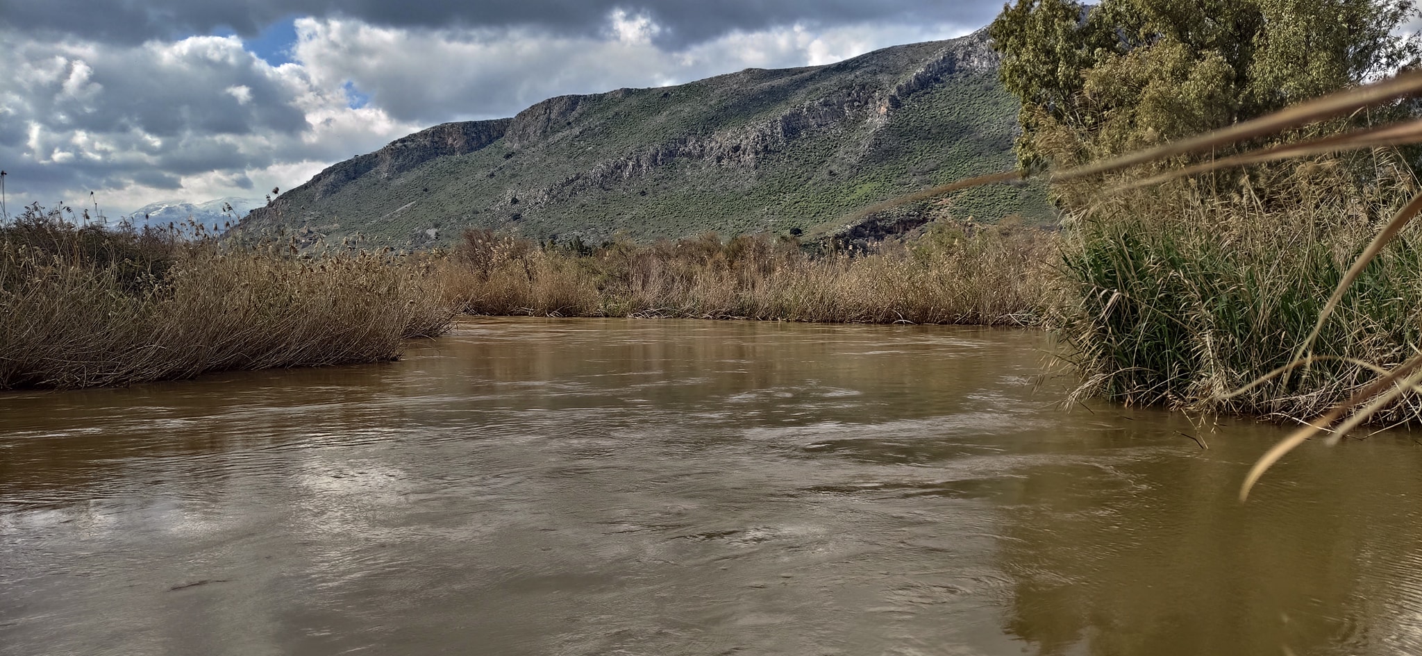 Αλέξανδρος Καστελλιανάκης - ΜΕΤΕΩΚΡΗΤΕΣ