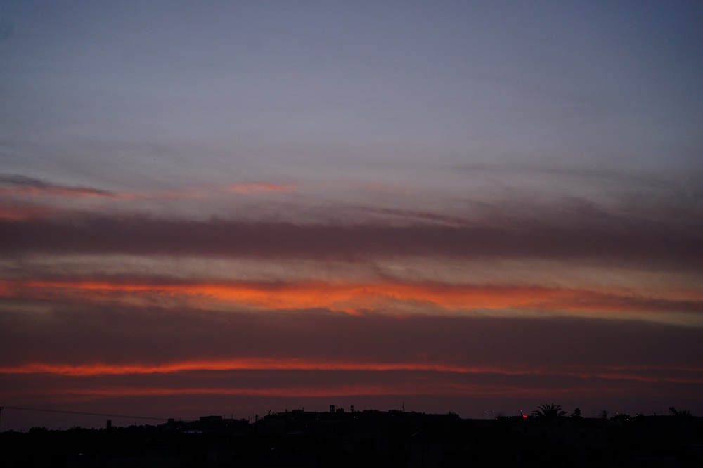 Ανατολή Τζιγκουνάκης