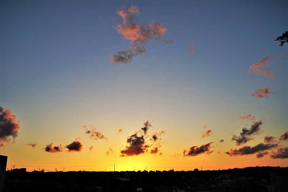 Ανατολή Τζιγκουνάκης