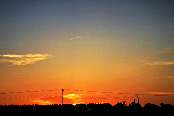 Ανατολή Τζιγκουνάκης
