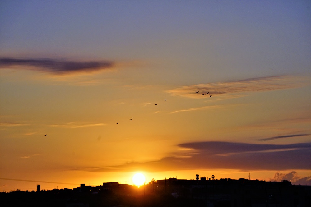 Ανατολή Σωτήρης Τζιγκουνάκης