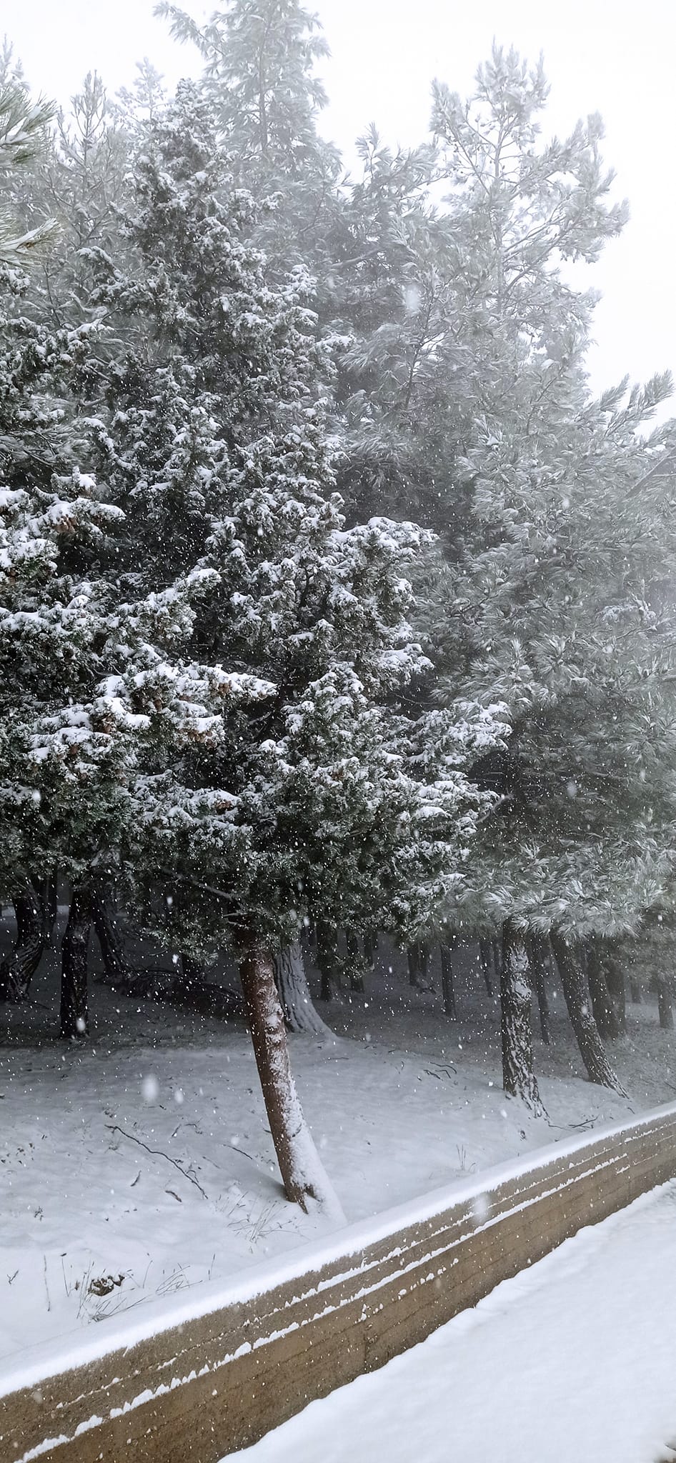 Χιόνια Ανώγεια