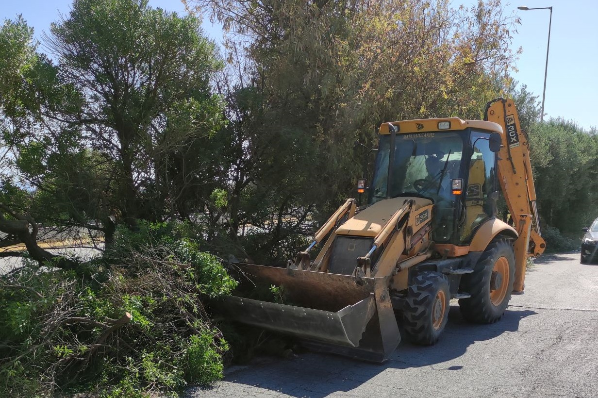 Αποψιλώσεις Μαλεβίζι