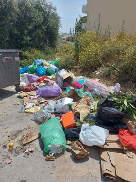 σκουπιδια-μεσαμπελιες