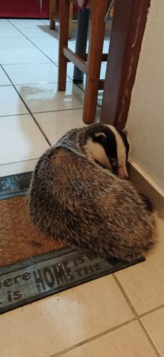 Άρκαλος-Ρέθυμνο