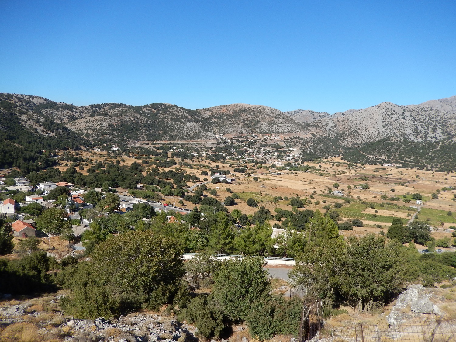 Κρήτη Ασκύφου