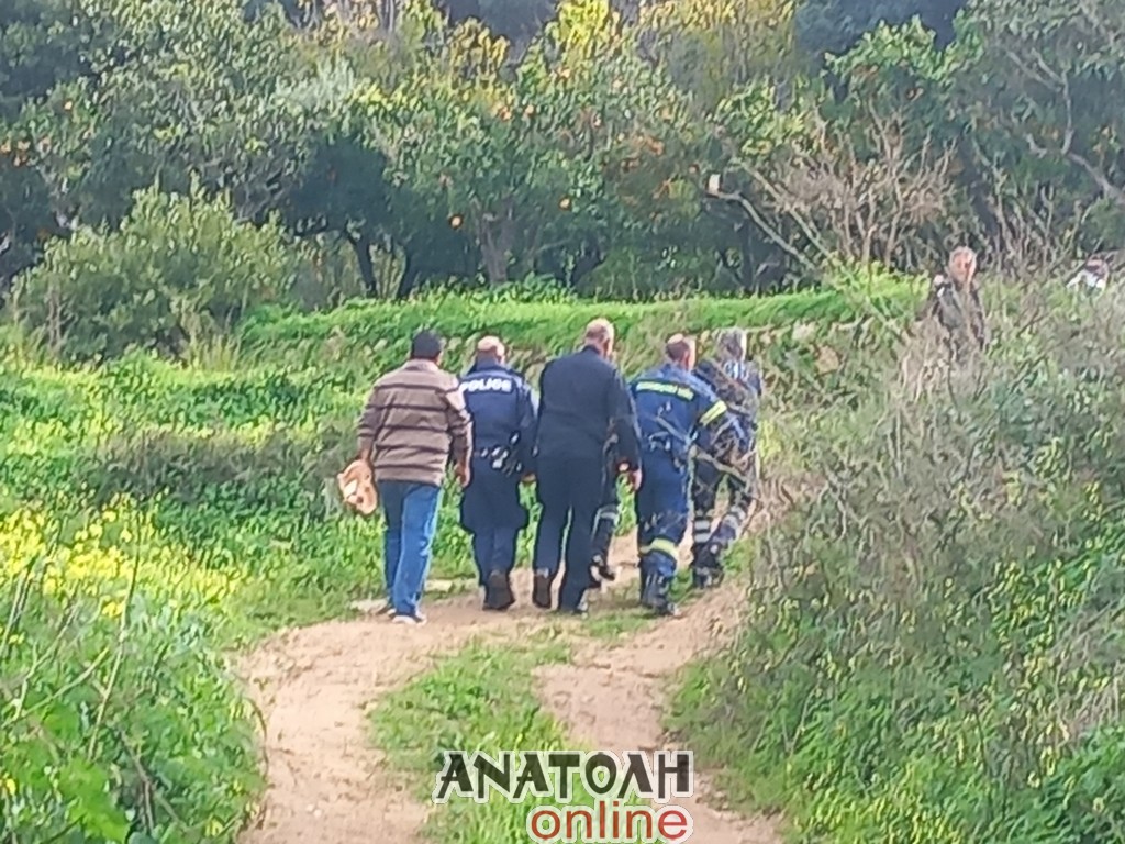 Καταπλακώθηκε από δέντρο ενώ εκτελούσε αγροτικές εργασίες