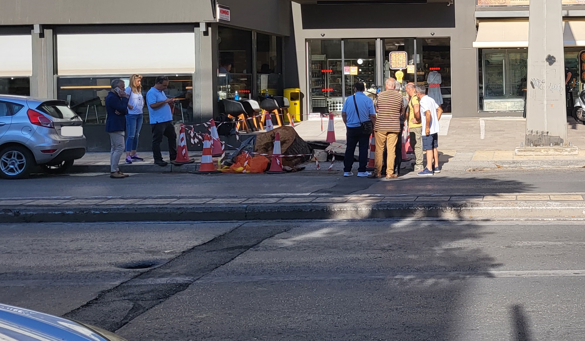 Αυτοψία Δέντρο