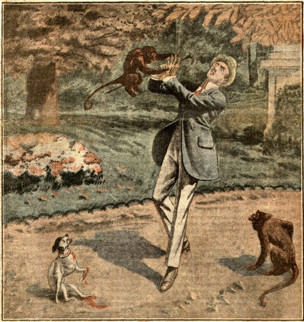 Το δάγκωμα της μαϊμούς στον βασιλιά και οι θεωρίες συνωμοσίας…