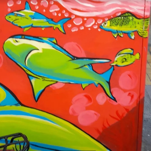 delfinia graffiti