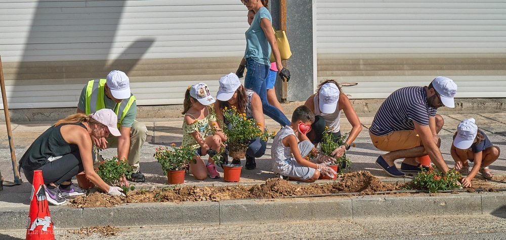 Δενδροφύτευση Χαλκιαδάκης