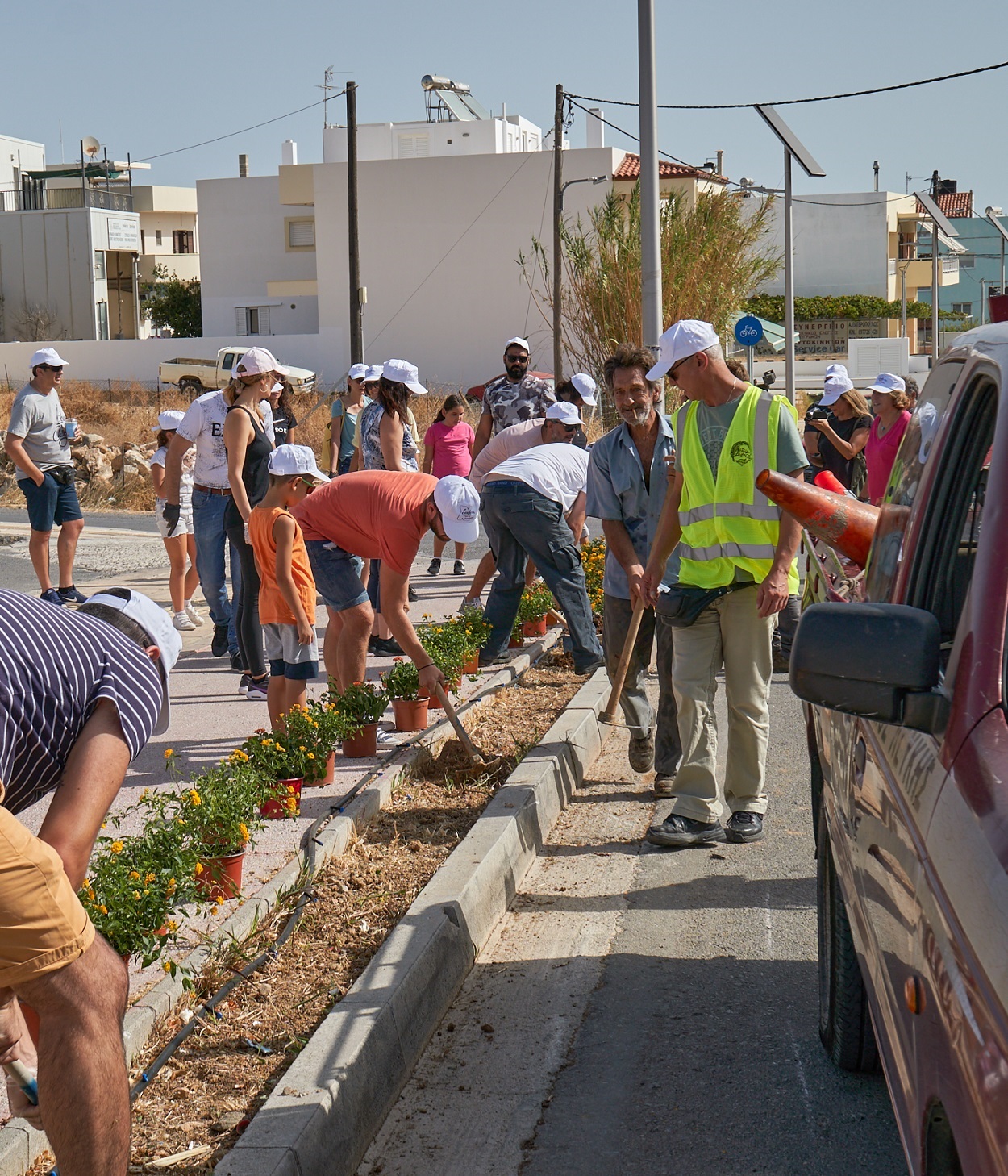 Δενδροφύτευση Χαλκιαδάκης