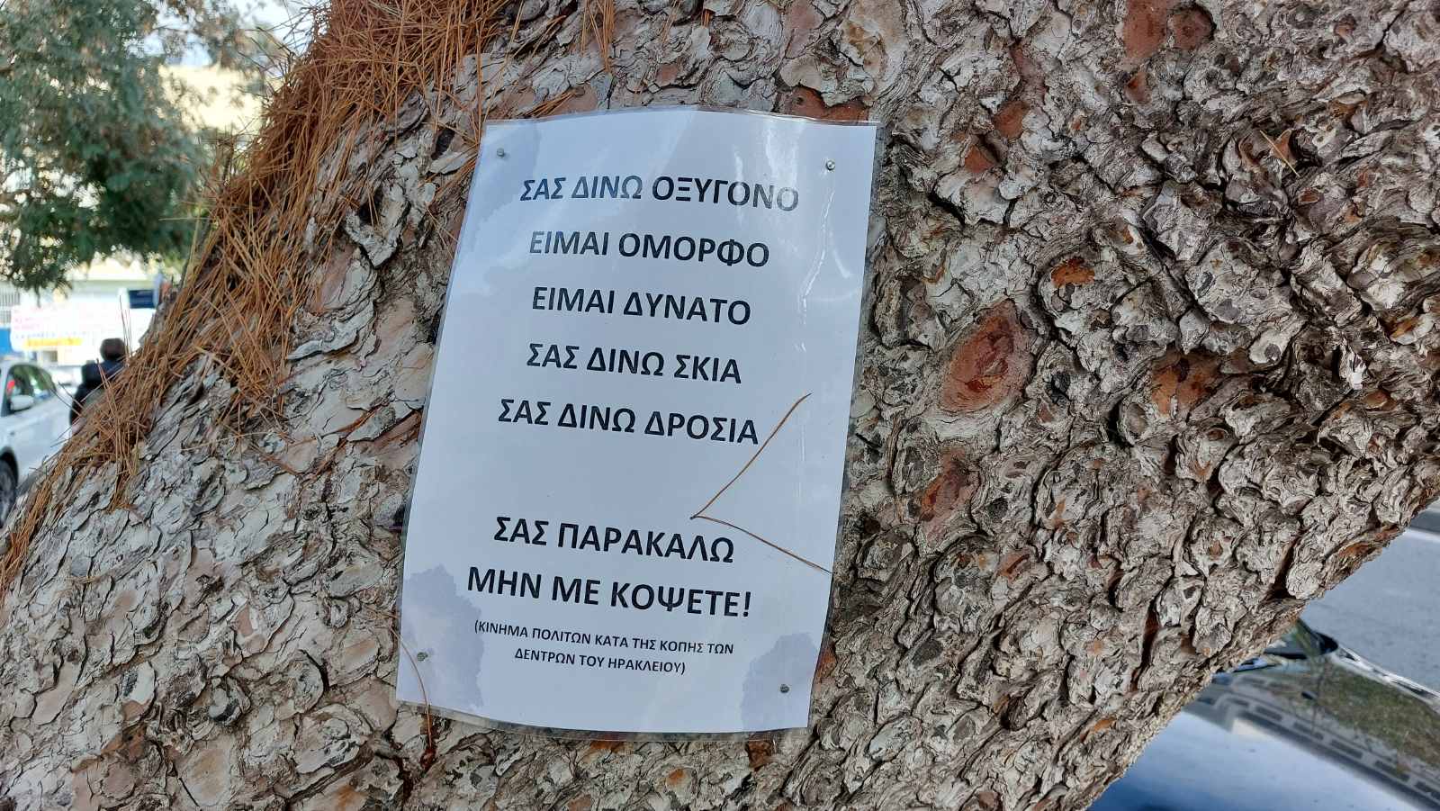 dentra leoforos dimokratias2