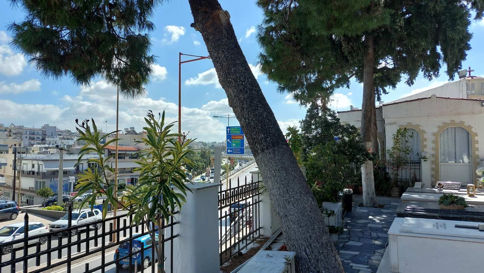 Δέντρα Αγιος Κωνσταντίνος