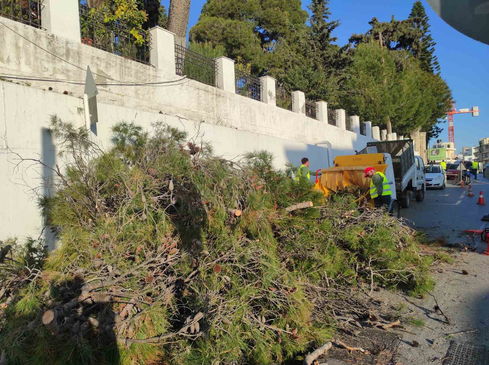 δέντρα κοιμητήριο νεκροταφείο άγιος κωνσταντίνος ηράκλειο