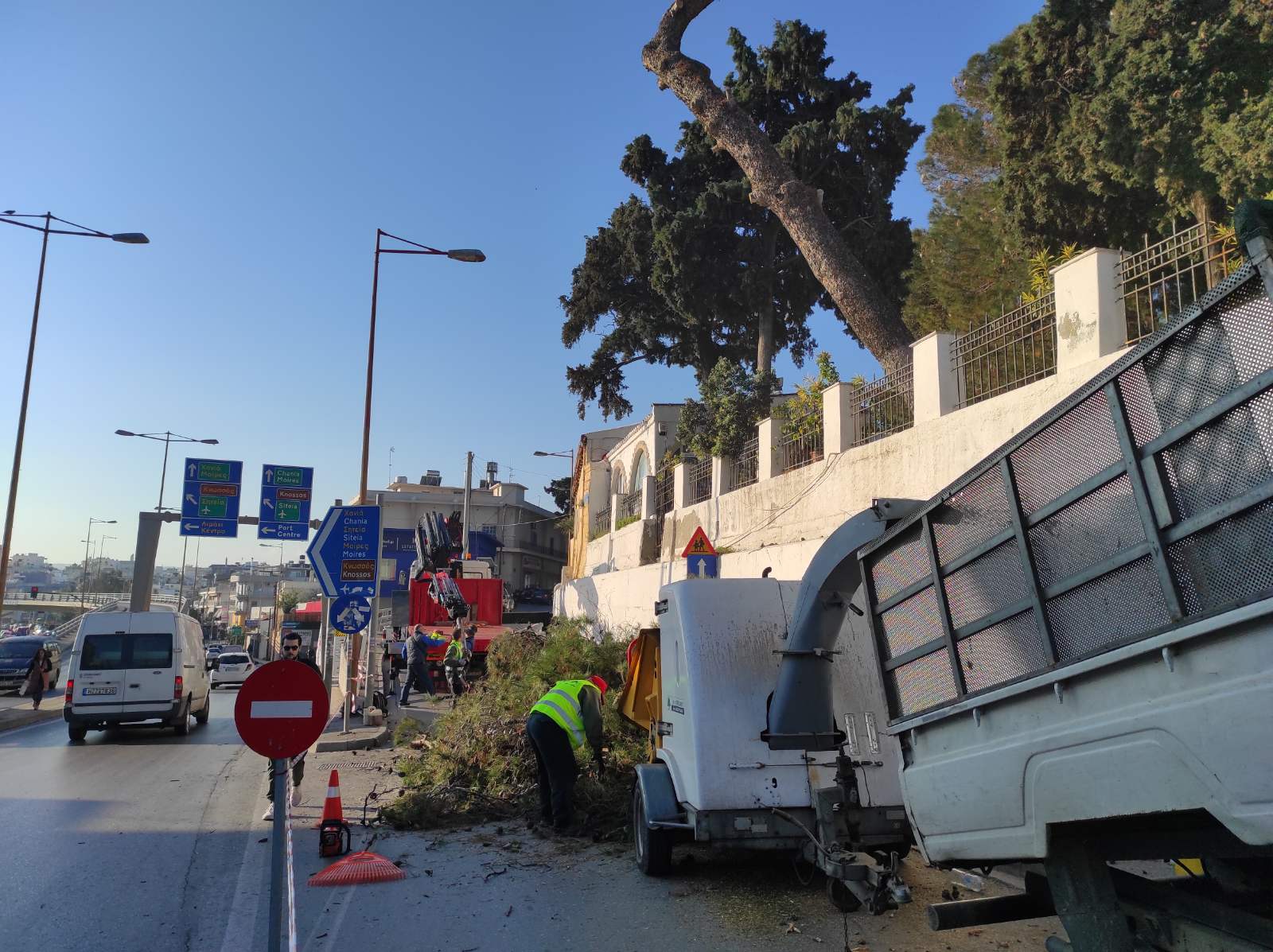 δέντρα κοιμητήριο νεκροταφείο άγιος κωνσταντίνος ηράκλειο