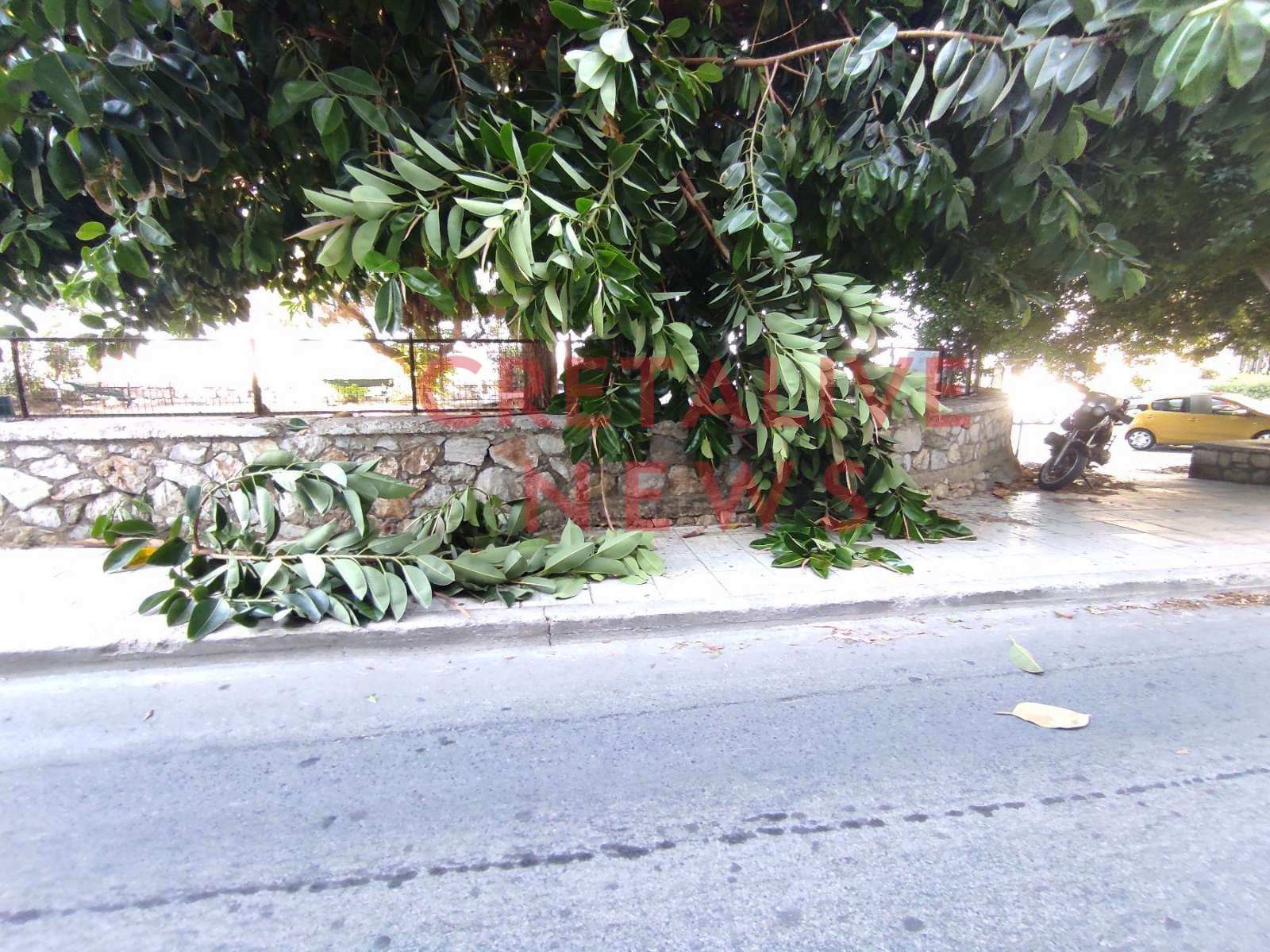 dentro epimenidou1