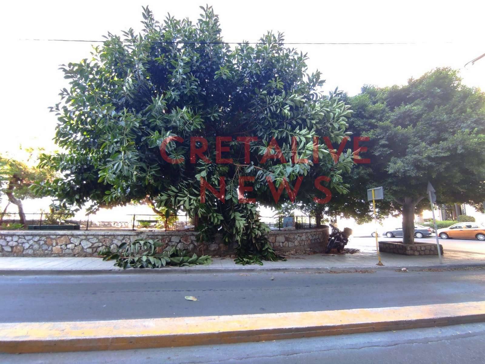 dentro epimenidou2