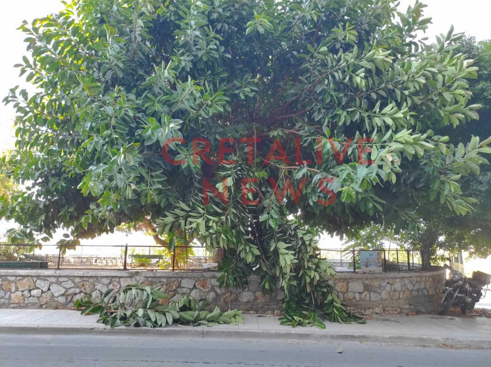 dentro epimenidou3