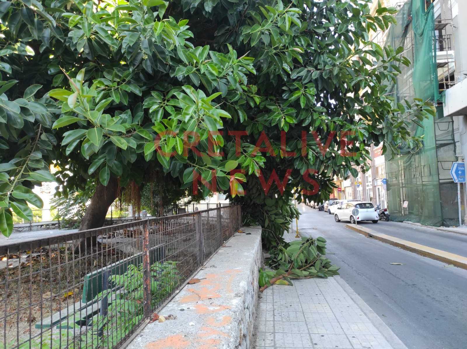 dentro epimenidou4